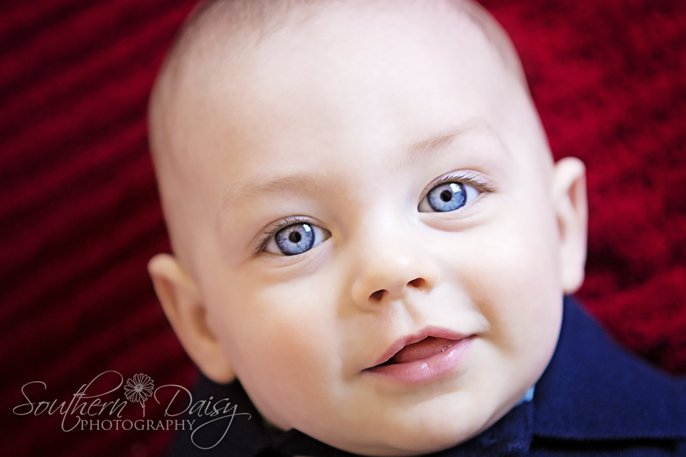 7 month old boy | Southern Daisy Photography