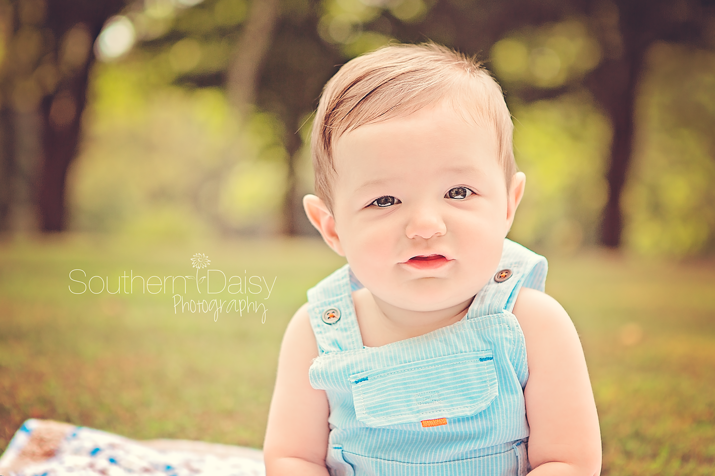Oliver 6 months | Southern Daisy Photography