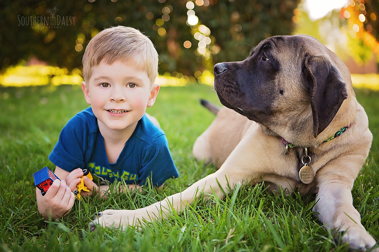 dogs and kids - southerndaisy.com