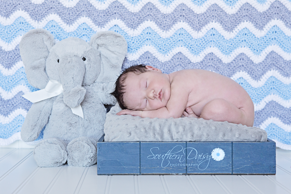 Baby Boy Newborn Photo | Southern Daisy Photography