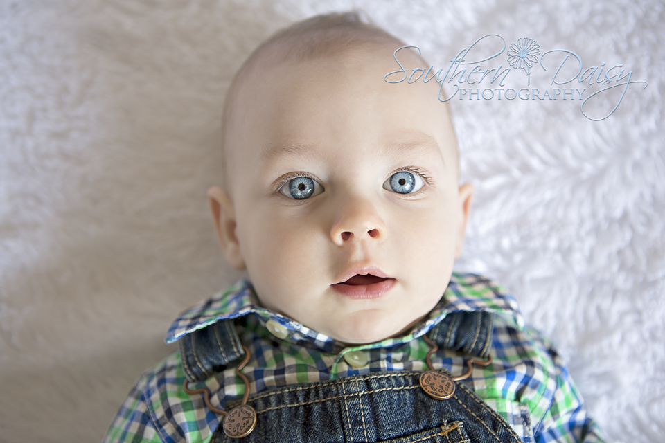 7 month old boy | Southern Daisy Photography