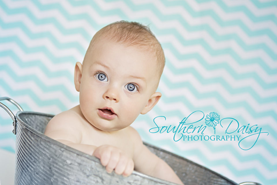 7 month old boy | Southern Daisy Photography
