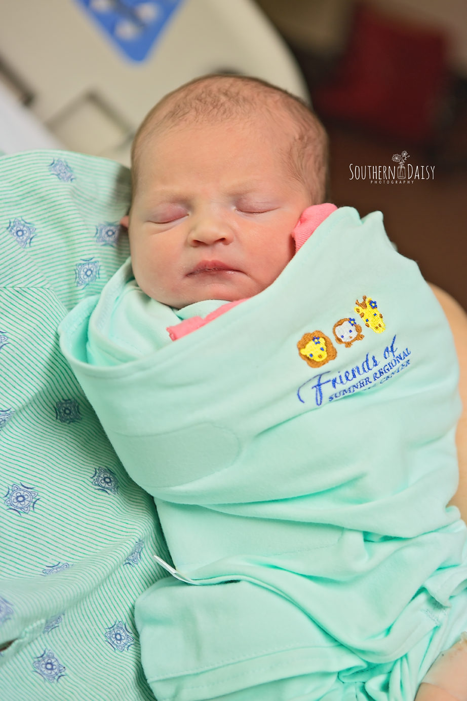 Fresh 48 session | Southern Daisy Photography | Gallatin, TN