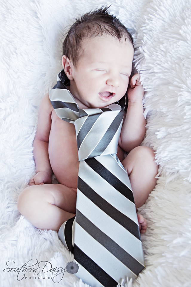 Baby Boy Newborn Photo | Southern Daisy Photography