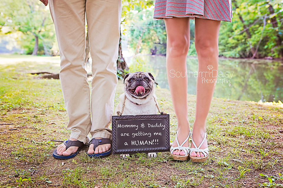 Baby Announcement with Dog