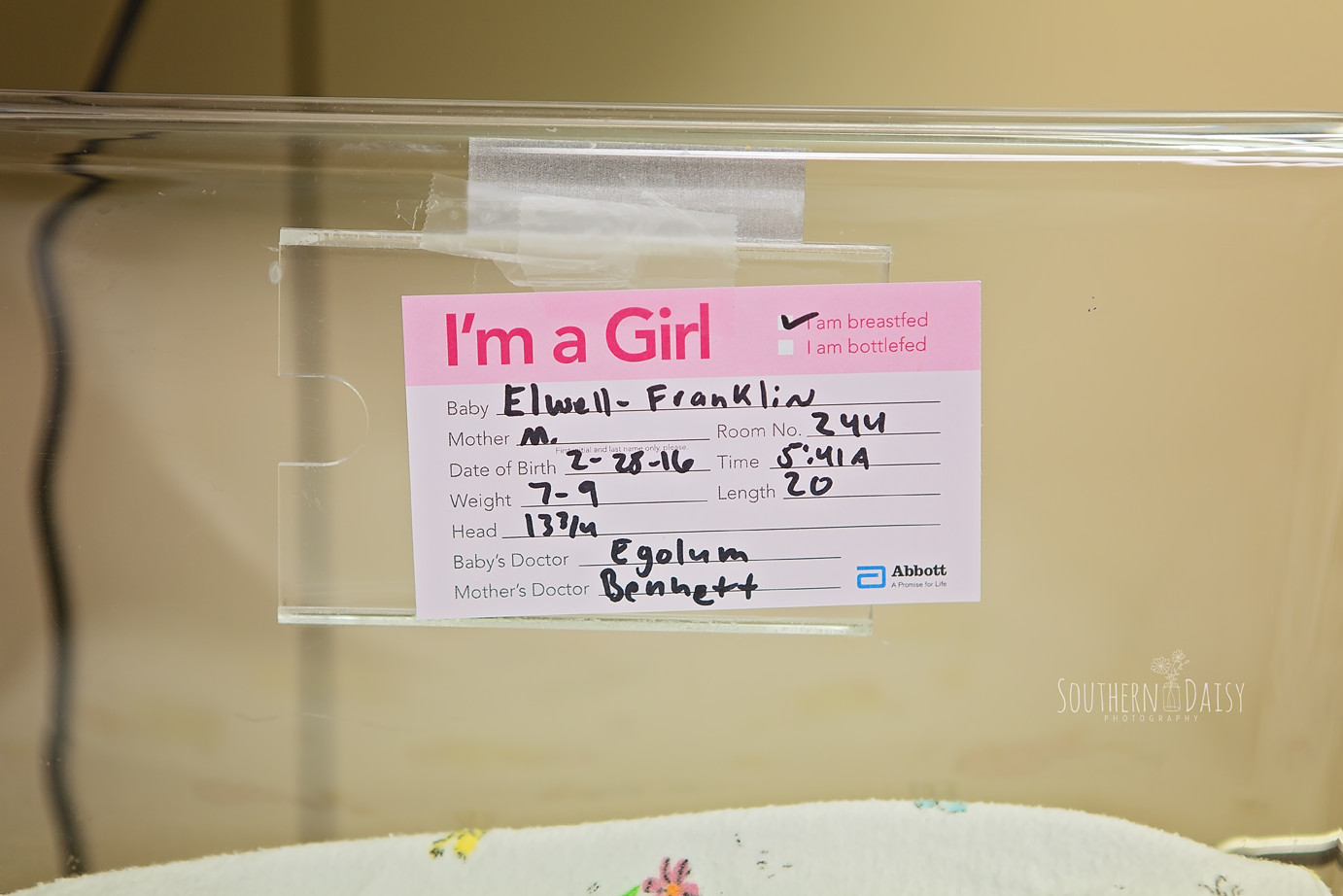 Fresh 48 session | Southern Daisy Photography | Gallatin, TN