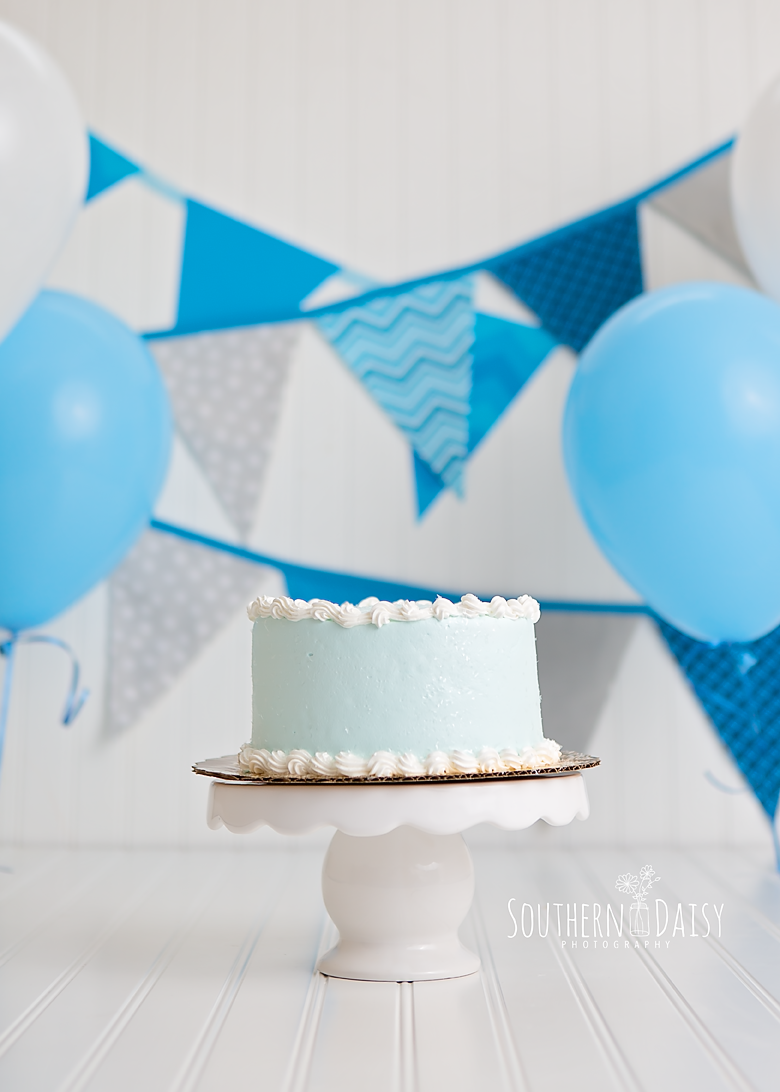 Blue and Gray Cake Smash - Southern Daisy Photography, Hendersonville, TN