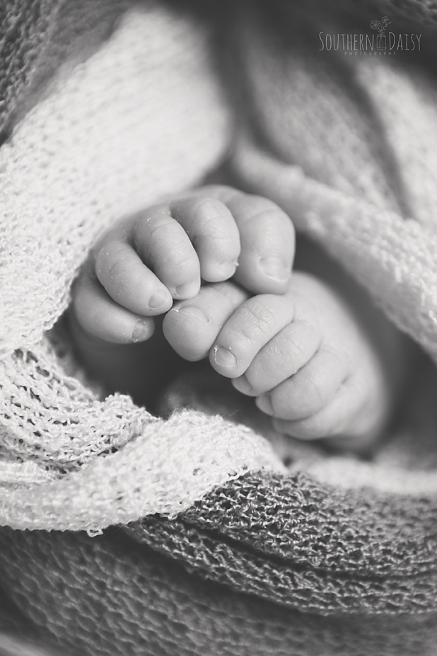 Baby Girl Newborn Session - Hendersonville, TN - Southern Daisy Photography