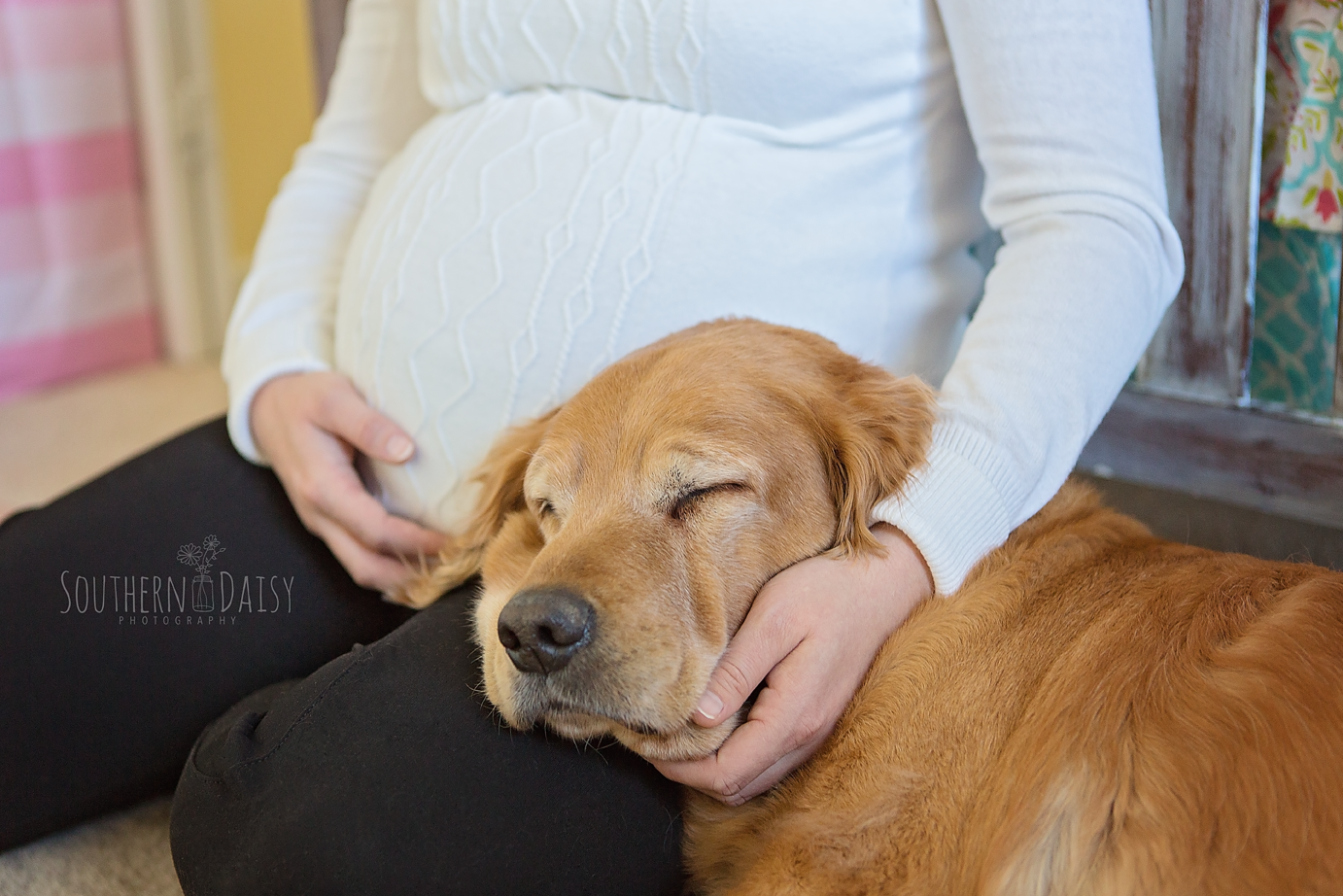 Maternity Session with Dog - Southern Daisy Photography - Hendersonville, TN
