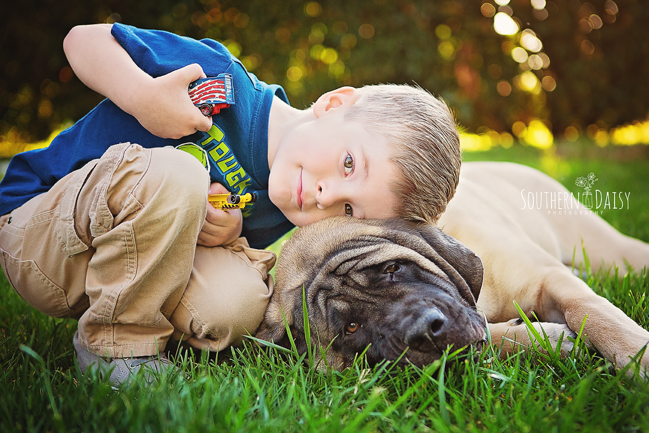 dogs and kids - southerndaisy.com