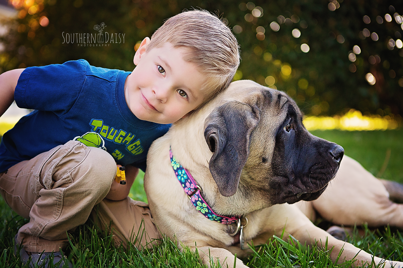 dogs and kids - southerndaisy.com
