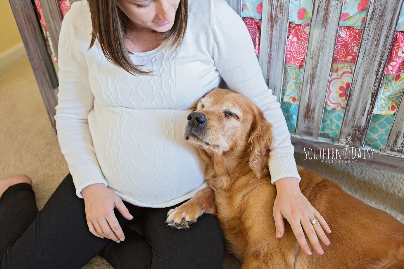 Maternity Session with Dog - Southern Daisy Photography - Hendersonville, TN