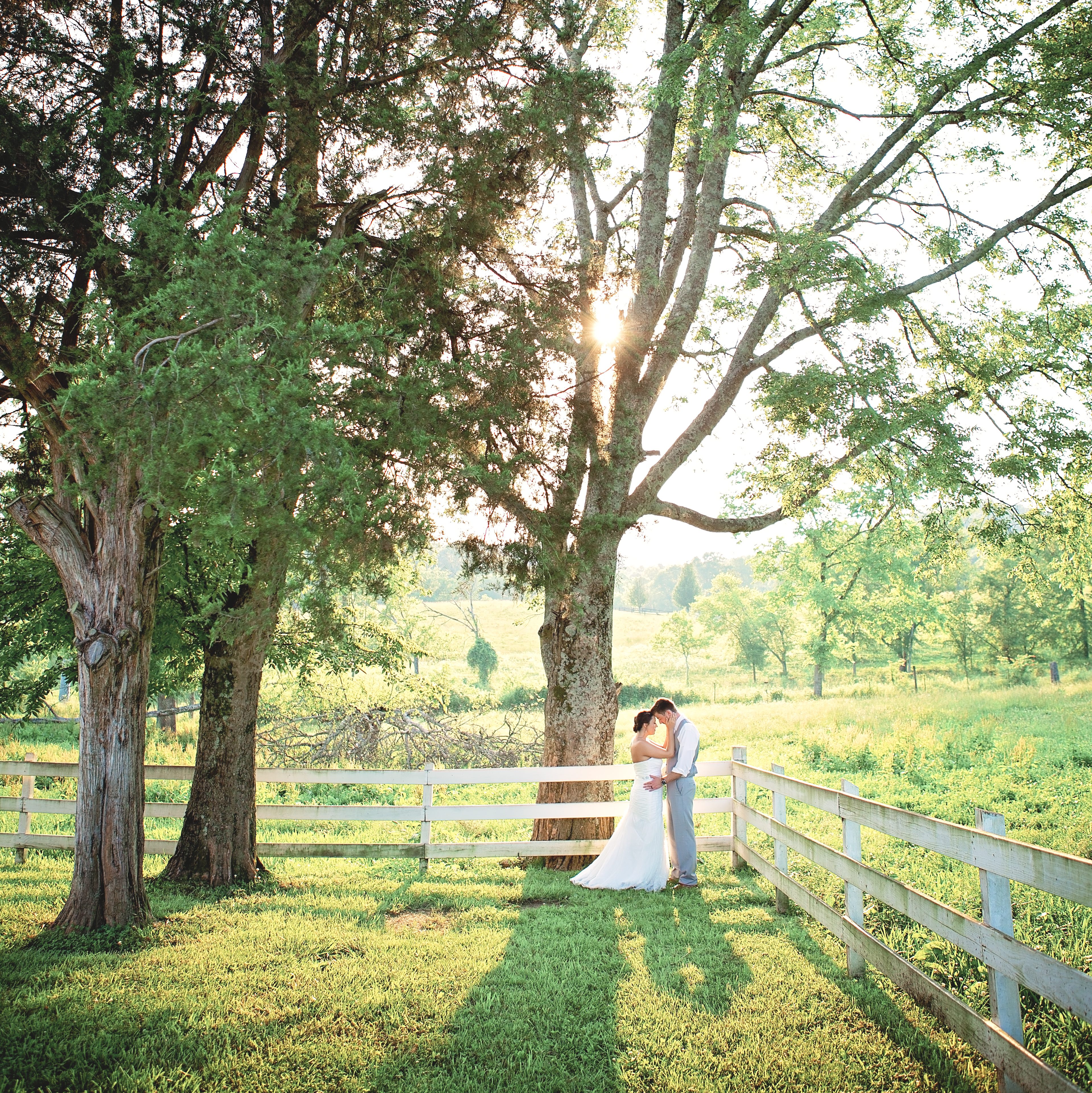 Bride and Groom - Rock Creek Farms - Nashville Wedding Photographer