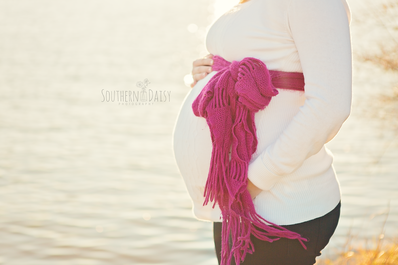 Maternity Session with Dog - Southern Daisy Photography - Hendersonville, TN