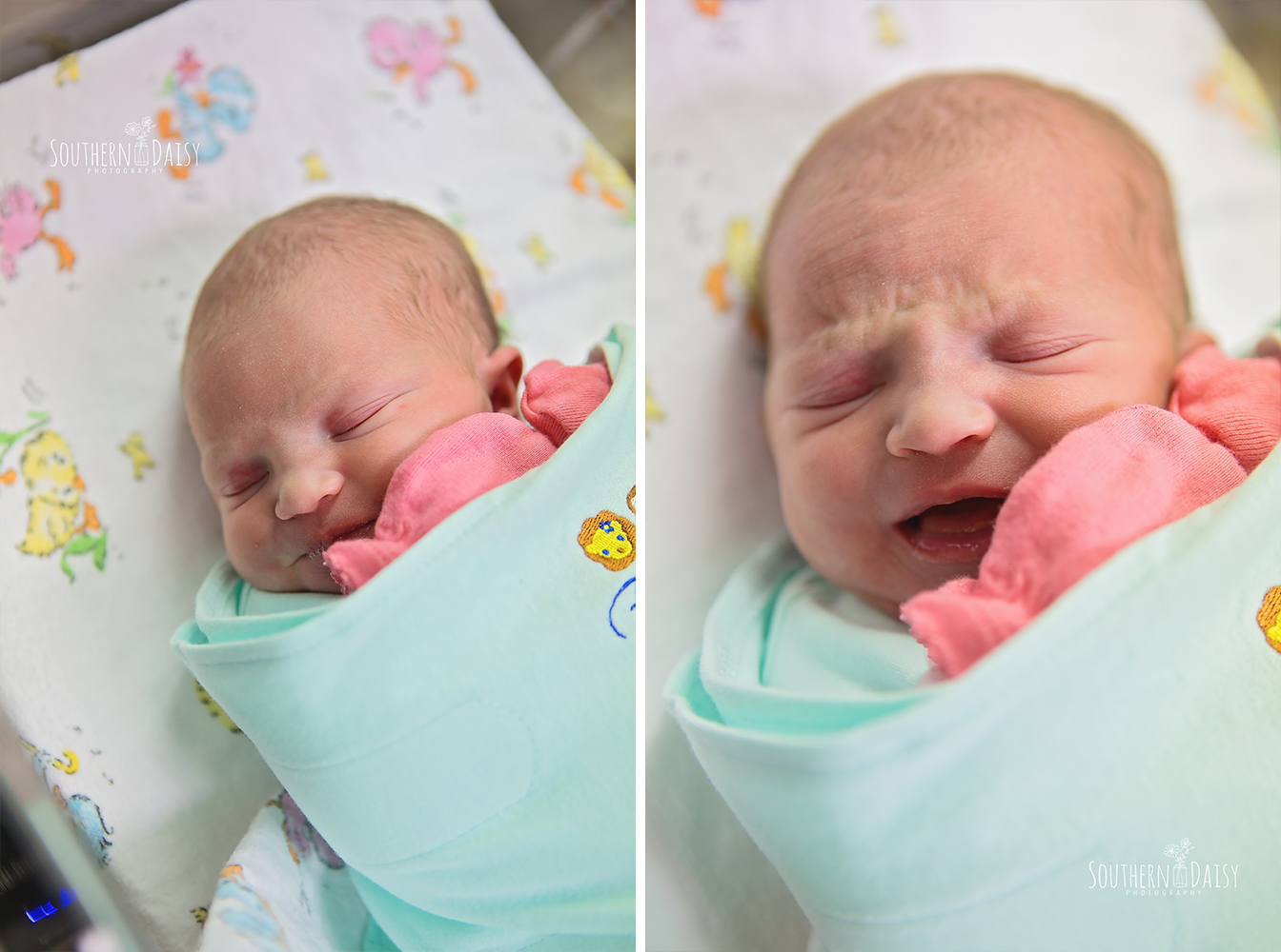 Fresh 48 session | Southern Daisy Photography | Gallatin, TN