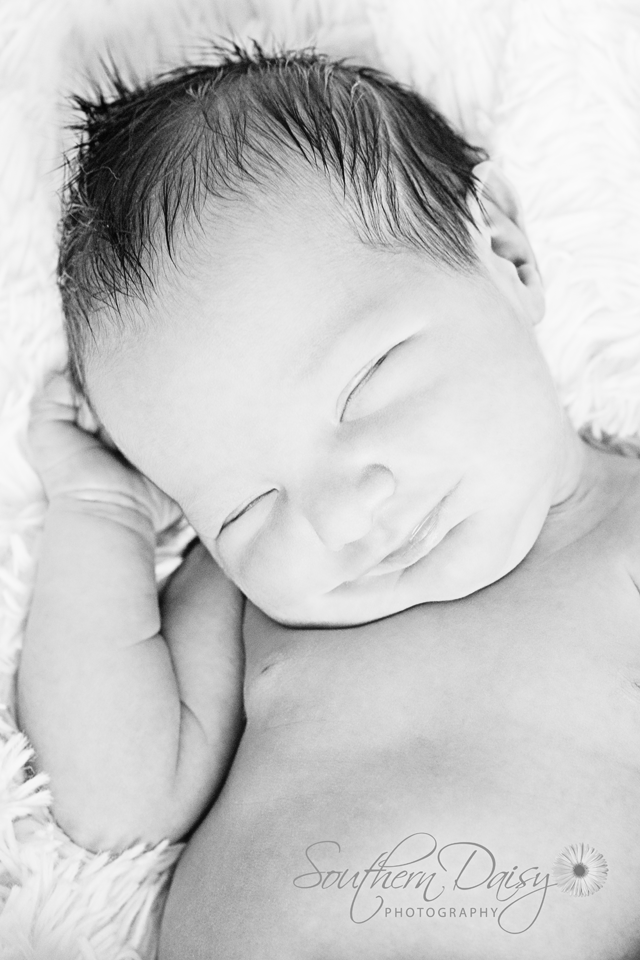 Baby Boy Newborn Photo | Southern Daisy Photography