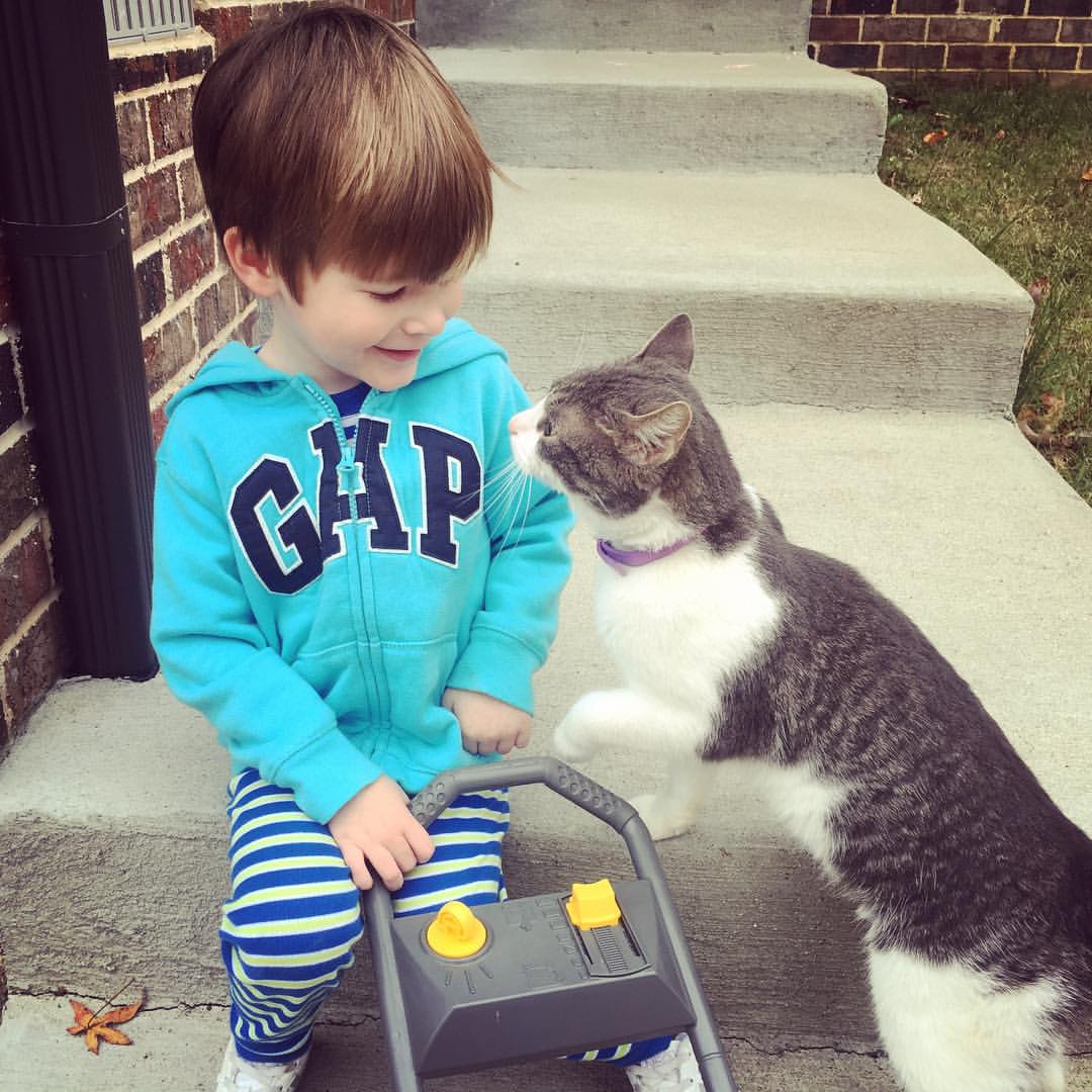 12307405_738369316201_6502284957990919448_o