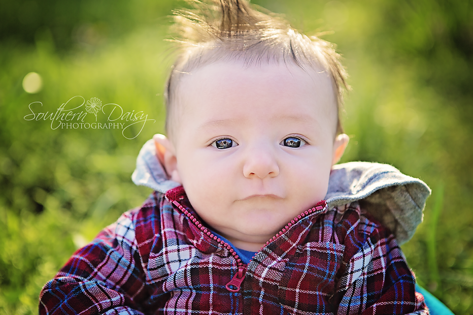 3 months old | southerndaisy.com